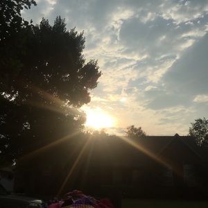 Meet your Posher, Dylan